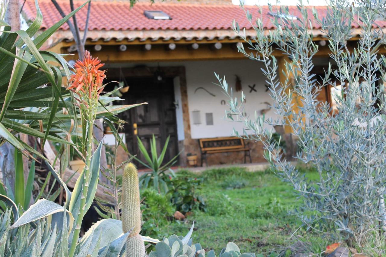 Casa Rural La Coscoja Mérida Zewnętrze zdjęcie