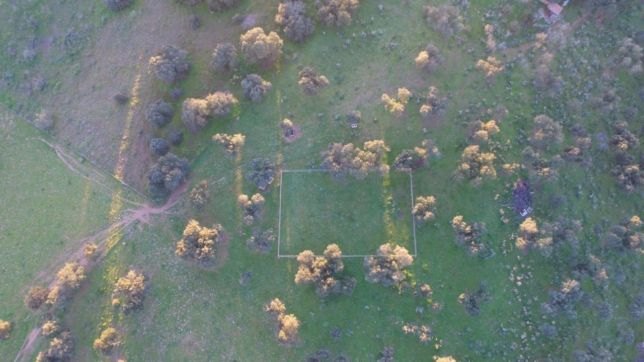 Casa Rural La Coscoja Mérida Zewnętrze zdjęcie