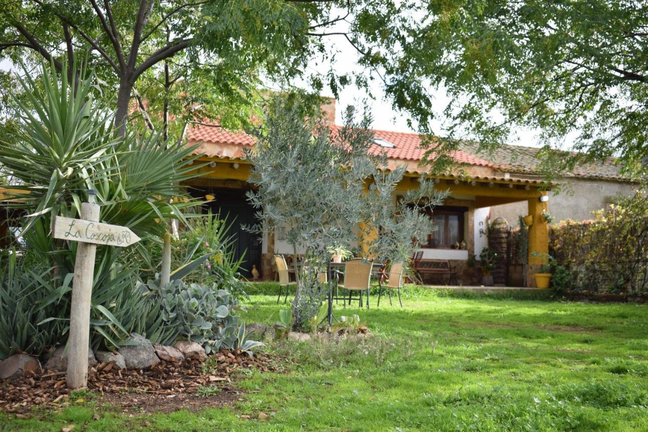 Casa Rural La Coscoja Mérida Zewnętrze zdjęcie